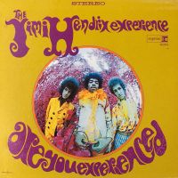 Jimi Hendrix Experience - Are You Experienced ? 2LP