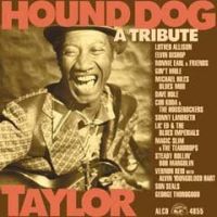 VA: - Hound Dog Taylor - A Tribute
