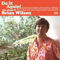 VA: - Do It Again ! The Songs Of Brian Wilson