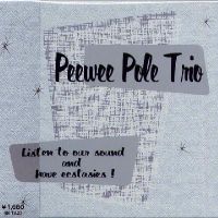 Peewee Pole Trio - Listen To Our Sound And Have Ecstasies !