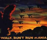 VA: - Walk Don't Run Mania