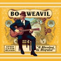 Bo Weavil - A Blessing In Disquise