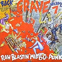 VA: - Back From The Grave Vol. 7 2LP