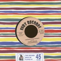 Darrel Higham & The Enforcers - Baby If We Touch / I Wonder If You Wonder