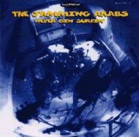 Jamming Arabs - Never Bin Surfin'