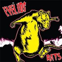 Eyelids - Rats