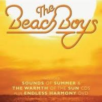 Beach Boys - Sounds Of Summer & The Warmth Of The Sun 3CD