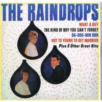Raindrops - What A Guy