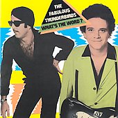 Fabulous Thunderbirds - What's The Word ?