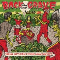 VA: - Back From The Grave Vol. 10