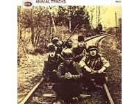 Animals - Animal Tracks