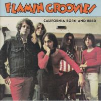 The Flamin\' Groovies - California Born N\' Bred