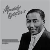 Muddy Waters - The Voice & The Guitar Of McKinley Morganfield 2LP