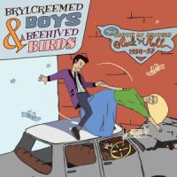 VA: - Brylcreemed Boys And Beehived Birds 4CD