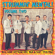 VA: - Strummin' Mental Vol. 2