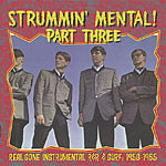 VA: - Strummin' Mental Vol. 3