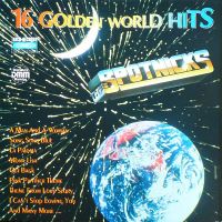 Spotnicks - 16 Golden World Hits
