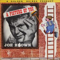 Joe Brown - A Picture Of You