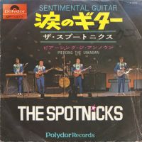 Spotnicks - Sentimental Guitar / Piercing The Unknown