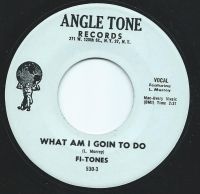 Fi-Tones - What am I goin to do / It was´ent a lie