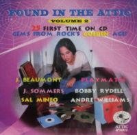 VA: - Found In The Attic Vol. 2