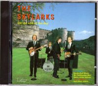 Skylarks - Till The End Of The Day