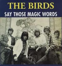 Birds - Say Those Magic Words