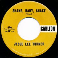 Jesse Lee Turner - Shake, Baby, Shake / The Little Space Girl