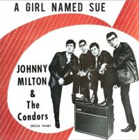 Don Lang & His Boulder Rollers / Johnny Milton & The Condors - Wicked Woman / A Girl Named Sue