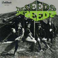 Seeds - The Seeds 2LP