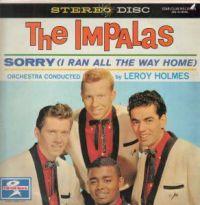 Impalas - Sorry