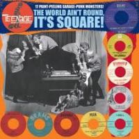 VA: - Teenage Shutdown - The World Ain't Round, It's Square