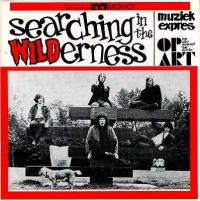 VA: - Searching In The Wilderness