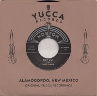 Chuck Sledge / Steve Cooper And the Avantis - White Heat / Sky Diver