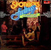 Spotnicks - Feelings