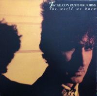 Tav Falco's Panther Burns - The World We Knew