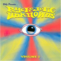 VA: - Psychedelic Unknowns Vol. 5