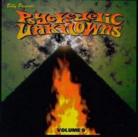 VA: - Psychedelic Unknowns Vol. 9